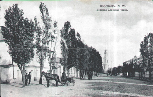 Колокольня Митрофановского монастыря